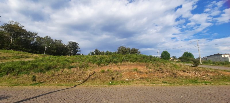 Terreno - Venda - Cidade Nova - Caxias do Sul - RS