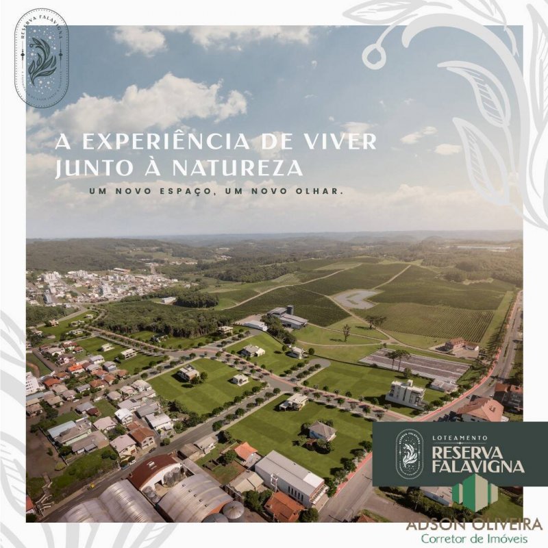 Terreno - Venda - Centro - Flores da Cunha - RS