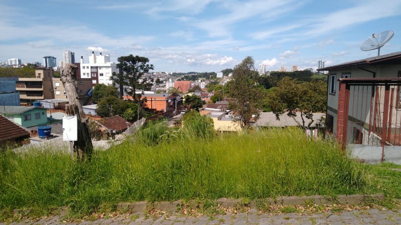 Terreno - Venda - Salgado Filho - Caxias do Sul - RS