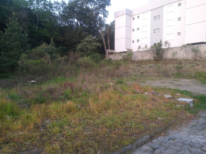 Terreno - Venda - Nossa Senhora das Graas - Caxias do Sul - RS