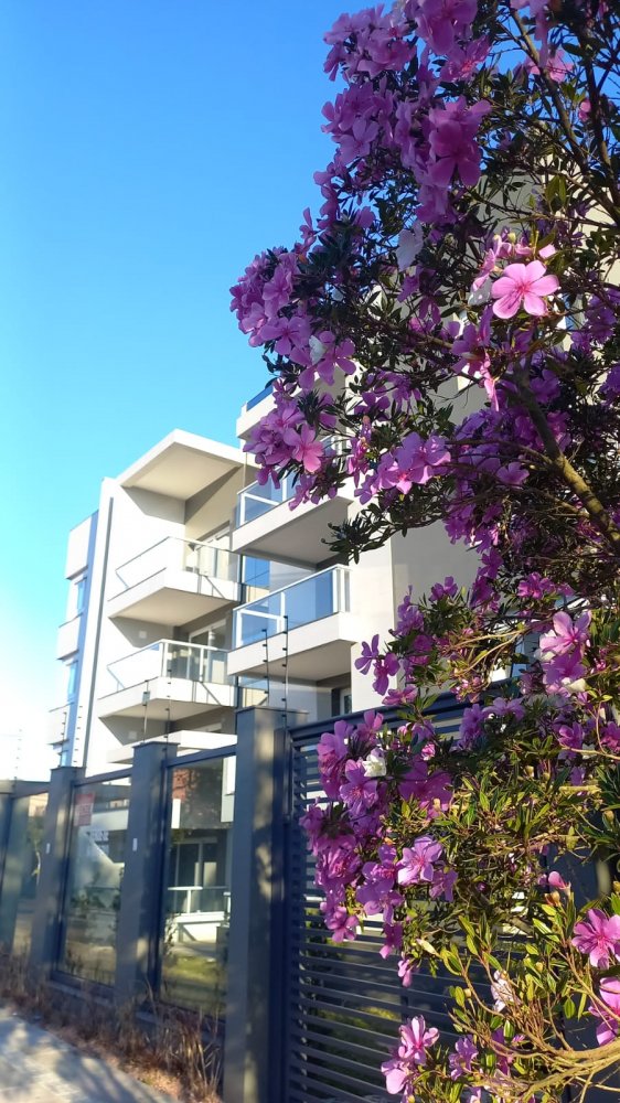 Apartamento - Venda - Jardim América - Caxias do Sul - RS