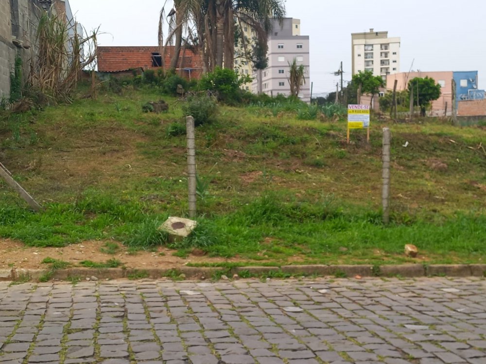 Terreno - Venda - Parque Oasis - Caxias do Sul - RS