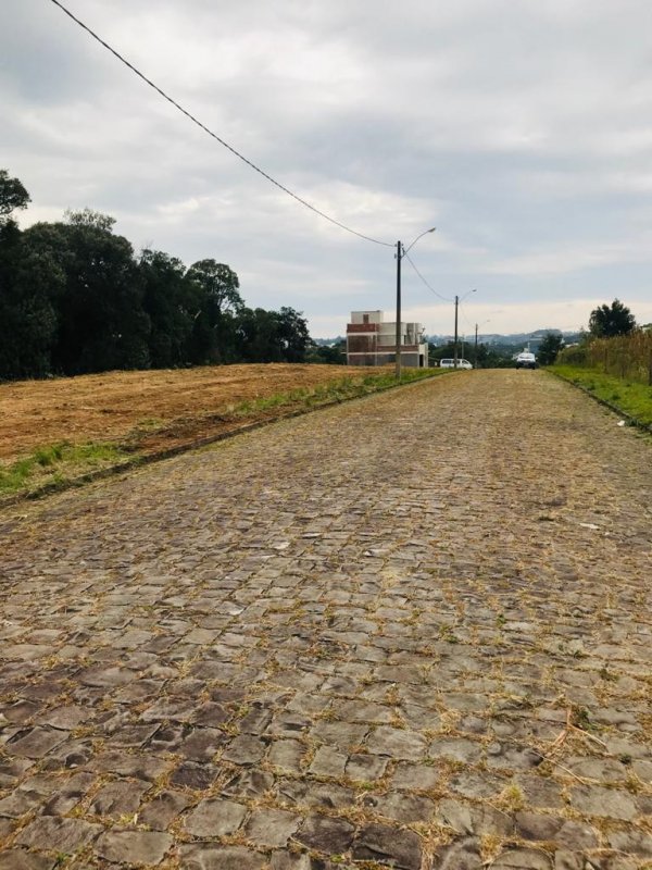 Terreno - Venda - São Luiz - Caxias do Sul - RS