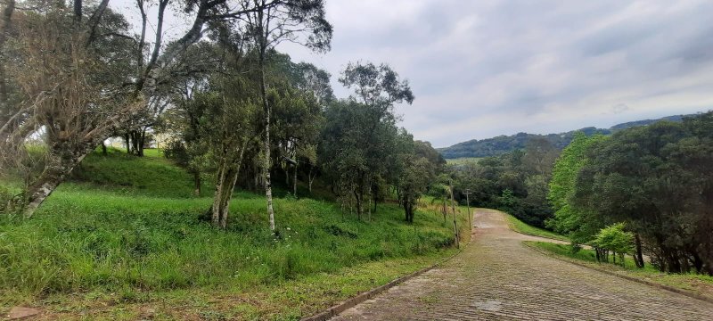 Terreno - Venda - Linha 40 - Caxias do Sul - RS