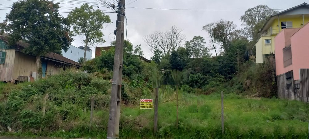 Terreno - Venda - Rio Branco - Caxias do Sul - RS